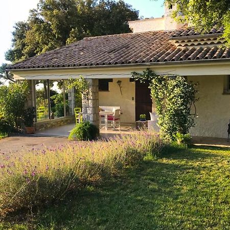 Villa 6 Guests With Pool - Peymeinade Near Cannes Exterior photo